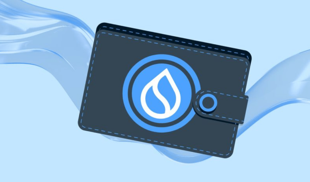 Sui Wallet: The Official Gateway to the Sui Ecosystem