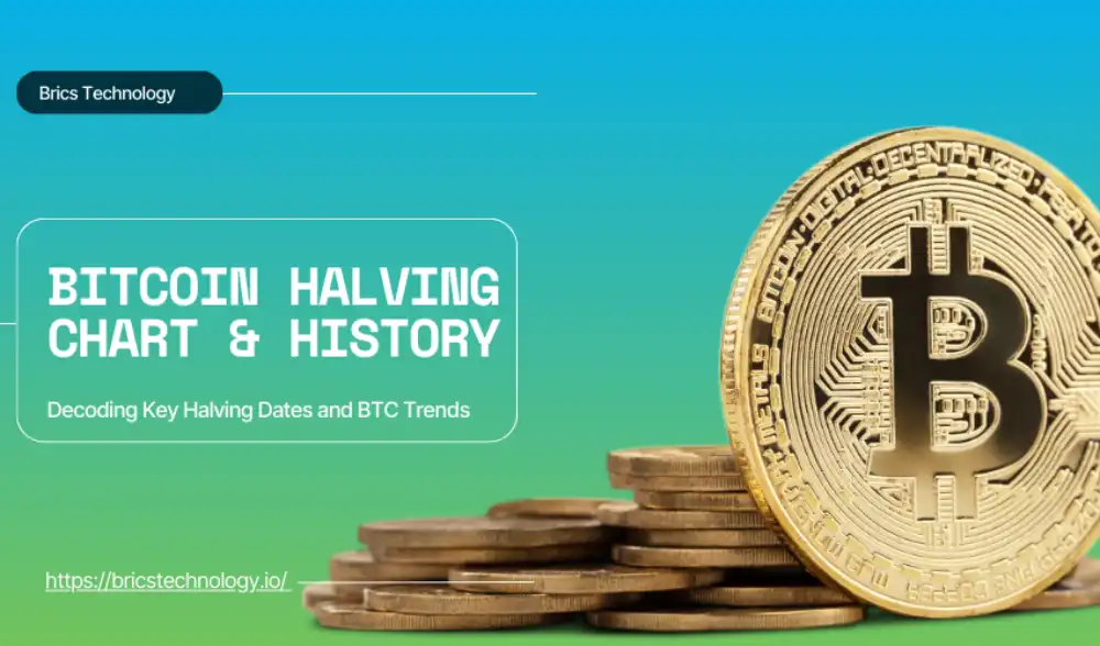 Bitcoin Halving Chart & History: Decoding Key Halving Dates and BTC Trends