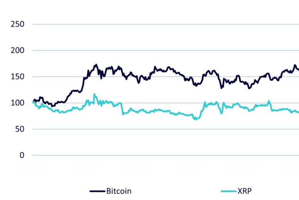 What the XRP and Bitcoin Charts Are Showing Now