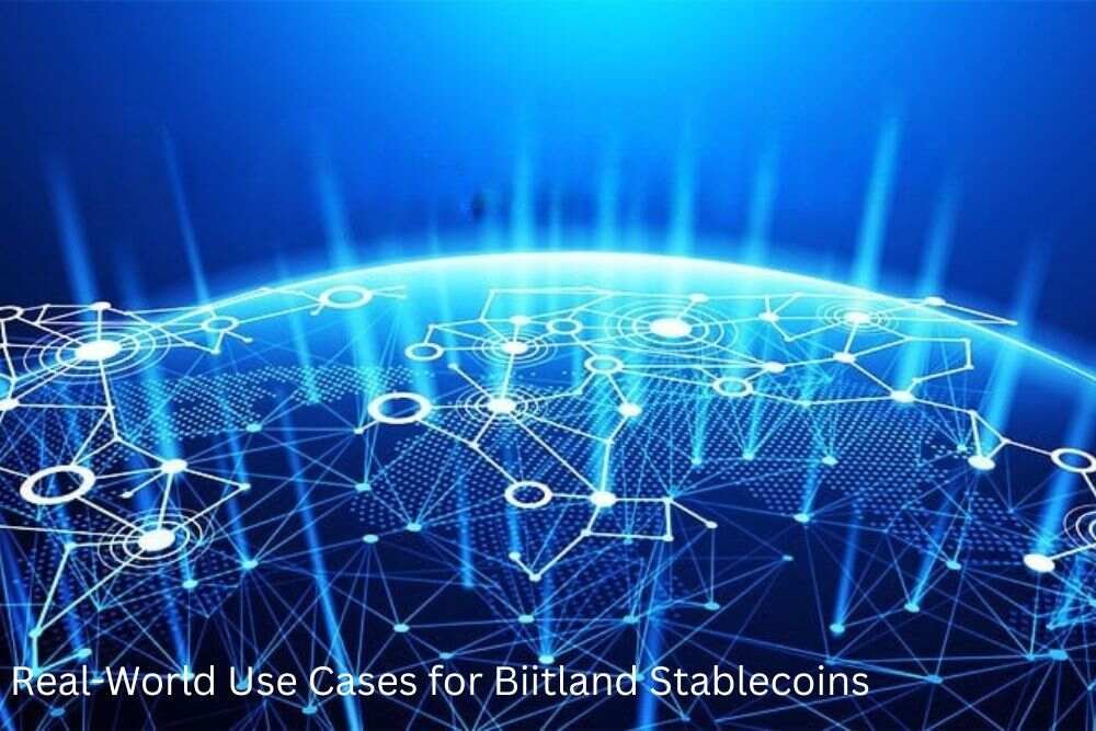 Real-World Use Cases for Biitland Stablecoins