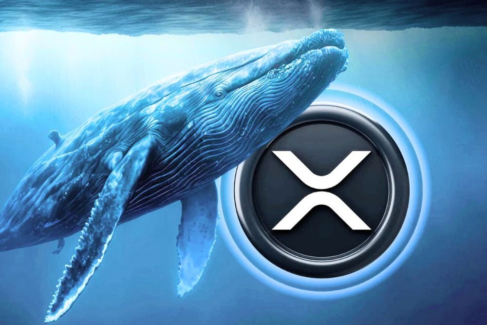 Ripple Whales’ Accumulation Strategies: Motivations and Goals Behind the Moves