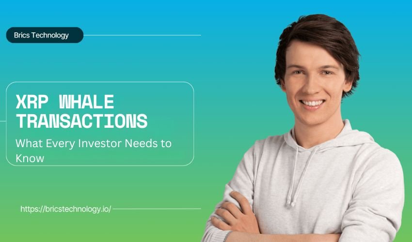 XRP Whale Transactions 2025: What Every Investor Needs to Know
